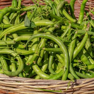 bush beans, vegetable, harvest, beans, fresh, healthy, raw, beans, beans, beans, beans, beans