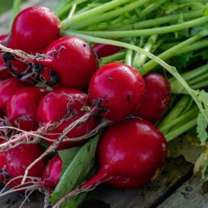 radish, vegetables, garden, food, healthy, fresh, nutrition, vitamins, plants, nature, radish, radish, radish, radish, radish